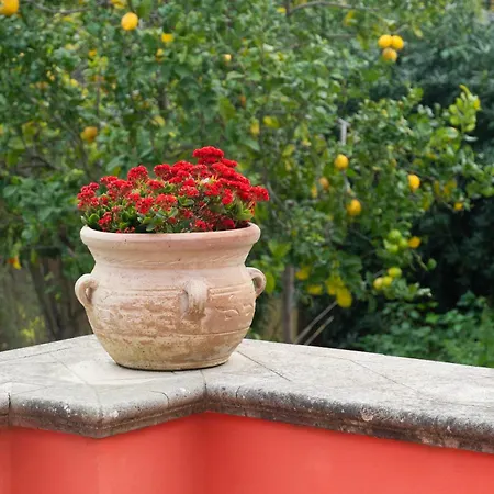 La Terrazza Sul Giardino プロチーダ