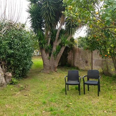 La Terrazza Sul Giardino Apartment Procida