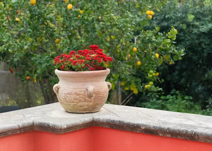 La Terrazza Sul Giardino Procida